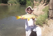 carp fly---(Cyprinus carpio) calamochita.