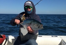 Fly-fishing Picture of False Albacore - Little Tunny shared by James Taggart – Fly dreamers