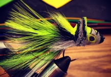 Fly for Muskie - Image by Hameed Talebian – Fly dreamers 