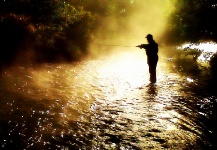 Brown trout Fly-fishing Situation – Alessandro Bertini shared this Sweet Image in Fly dreamers 