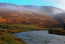 Great Fly-fishing Situation of Atlantic salmon - Image shared by Alan Bithell – Fly dreamers