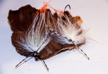 LeGrille FlyFishing 's Cool Fly-tying Image – Fly dreamers 