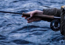  Genial Situación de Pesca con Mosca de Brownie – Por LeGrille FlyFishing en Fly dreamers