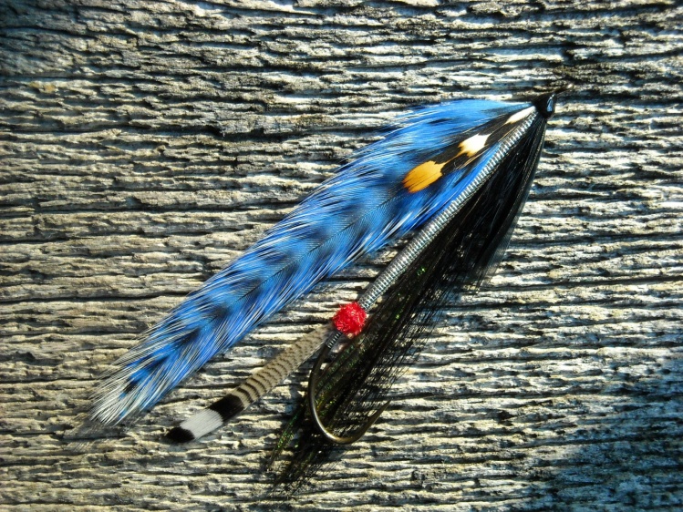 This is a streamer conversion of an old (1800s)Orvis Marbury lake fly pattern called the Blue Jay..it was tied useing american blue jay feathers with white tips. I had a good friend dye the grizzly wing hackles on this one to match the color of the americ
