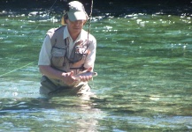 Moquehue , Limay y Manso Inferior