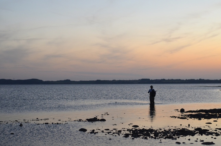 Fishing at Limfjorden