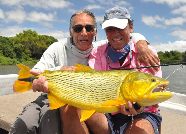 Esta captura de este Dorado no es una captura mas.
Estabamos pescando Pirapitas y se me ocurrio poner un Bomber.
Y ocurrio  lo inesperado,  tirando a las costas de arboles, unos tres Drados atacaron el Bomber .
Con un leader de 10 cm de largo y con el 