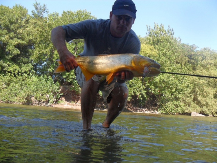 rio arrecifes