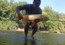 Marcelo Trelles 's Fly-fishing Pic of a Golden Dorado – Fly dreamers 