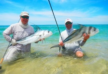 Ronald Foster 's Fly-fishing Image of a Roosterfish – Fly dreamers 