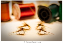 Fotografía de atado de moscas para Trucha de arroyo o fontinalis por George Secareanu – Fly dreamers 