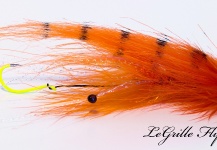 LeGrille FlyFishing 's Great Fly Pic – Fly dreamers 