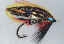 Fly for Atlantic salmon - Picture by Mike Boyer – Fly dreamers 