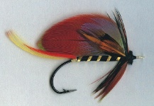Fly for Atlantic salmon shared by Mike Boyer – Fly dreamers 