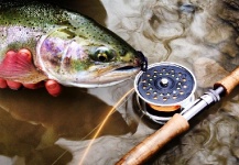 J Bryan Mynes 's Fly-fishing Photo of a Steelhead – Fly dreamers 