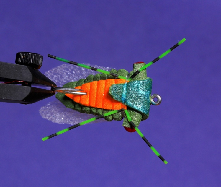 Easy foam cicada underside