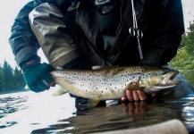  Fotografía de Pesca con Mosca de European brown trout por LeGrille FlyFishing – Fly dreamers 