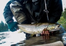 LeGrille FlyFishing 's Fly-fishing Picture of a von Behr trout – Fly dreamers 