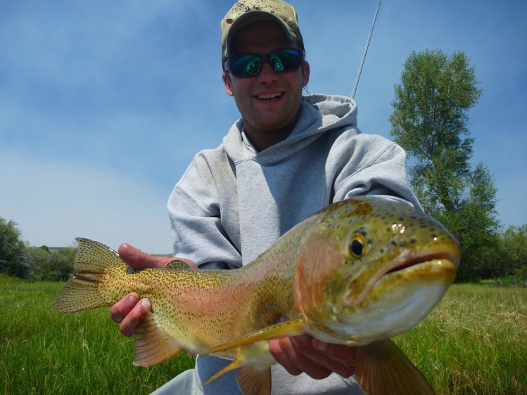 dry fly eating, landlocked steelhead