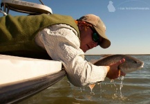 Dan Frasier 's Fly-fishing Pic of a Redfish – Fly dreamers 