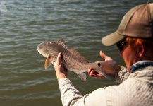 Fly-fishing Pic of Redfish shared by Dan Frasier – Fly dreamers 