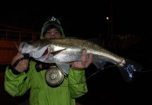 Masanori Sarai 's Fly-fishing Pic of a European seabass – Fly dreamers 