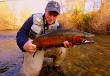 Mike Wright 's Fly-fishing Image of a Steelhead – Fly dreamers 