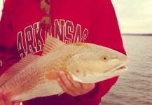 PJ Roberts 's Fly-fishing Catch of a Redfish – Fly dreamers 
