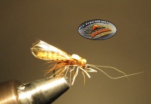  Mira esta Gran foto de atado de moscas de Mark Patenaude