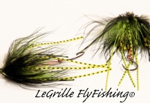  Otra Excelente fotografía de LeGrille FlyFishing – Fly dreamers