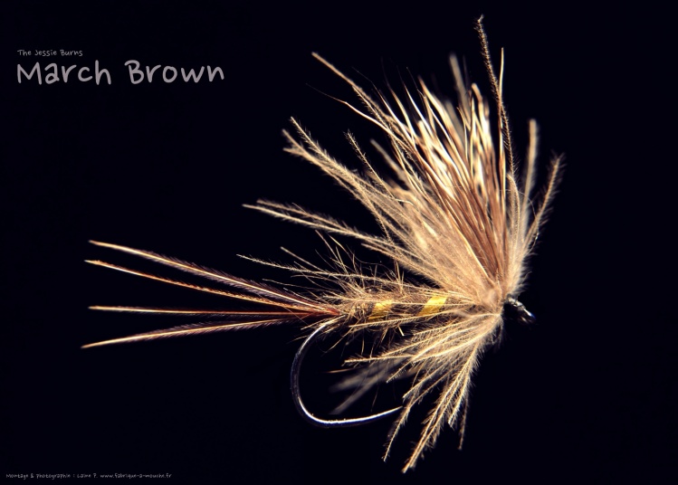 Fly tying photo: March Brown. <a href="http://www.fabrique-a-mouche.fr/s%C3%A8ches/">http://www.fabrique-a-mouche.fr/sèches/</a>