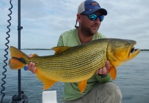 Fly-fishing Image of Golden Dorado shared by Lalo Dela Croce – Fly dreamers