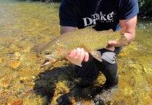 Geoff Mueller 's Fly-fishing Photo of a Cutthroat – Fly dreamers 