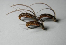  Mira esta mosca para Trucha Apache de Fernando Moreno ) – Fly dreamers 