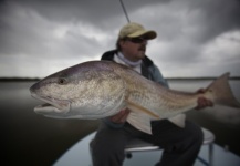 Perry Lisser 's Fly-fishing Picture of a Redfish – Fly dreamers 