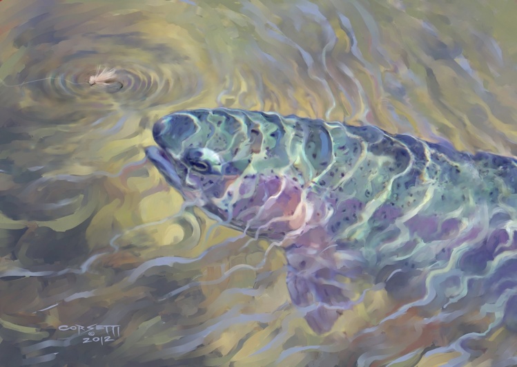 Nothing gets my blood flowing like the rise of a trout and that split second before a fish takes your fly. view art...
<a href="http://robert-corsetti.artistwebsites.com/featured/rising-rainbow-rob-corsetti.html">http://robert-corsetti.artistwebsites.com/featured/rising-rainbow-rob-corsetti.html</a>