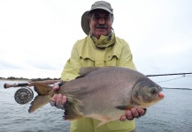 Fly-fishing Picture of Pacu shared by Vittorio Botta – Fly dreamers