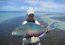Tom Hradecky 's Fly-fishing Image of a Parrotfish – Fly dreamers 