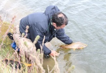  Fotografía de Pesca con Mosca de Trucha marrón por Rogerio "JAMANTA" Batista – Fly dreamers 