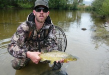 Fly-fishing Picture of Browns shared by Jeremy Treweek – Fly dreamers