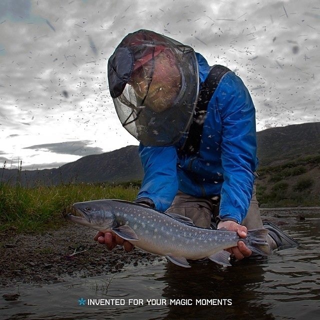 Did someone forget the bug repellent?!
A greenland Arctic char is a thing of magical beauty!