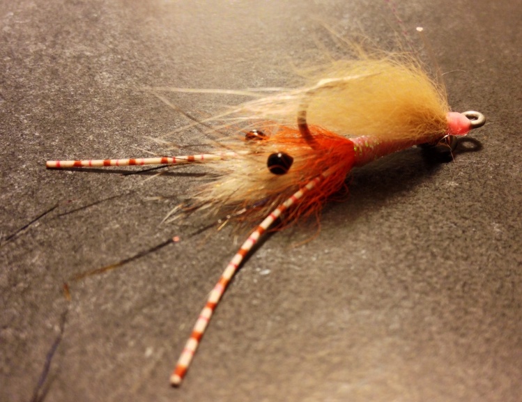 Spawning shrimp