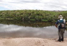  Situación de Pesca con Mosca de Trucha de arroyo o fontinalis – Imagen por Hugo Tello en Fly dreamers