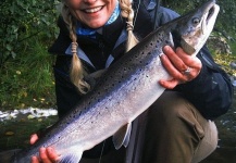 Arctic Silver 's Fly-fishing Photo of a Atlantic salmon – Fly dreamers 