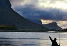 Cool Fly-fishing Situation of Brown trout shared by Arctic Silver 