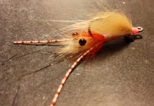 Fly-tying for Bonefish - Photo by Rupert Harvey – Fly dreamers 