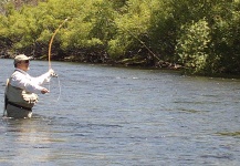 Rainbow trout Fly-fishing Situation – Marcelo Ziegler shared this Great Image in Fly dreamers 