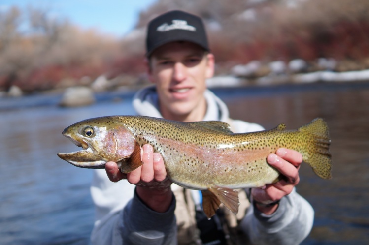 Killed it today on the Provo! My biggest rainbow ever (spin rod, fly rod, ice fishing, everything.) 21"