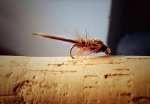 Juanjose Cisneros 's Fly-tying Photo – Fly dreamers 