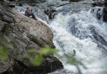 Fly-fishing Pic of Atlantic salmon shared by CoreCom Film  Production – Fly dreamers 